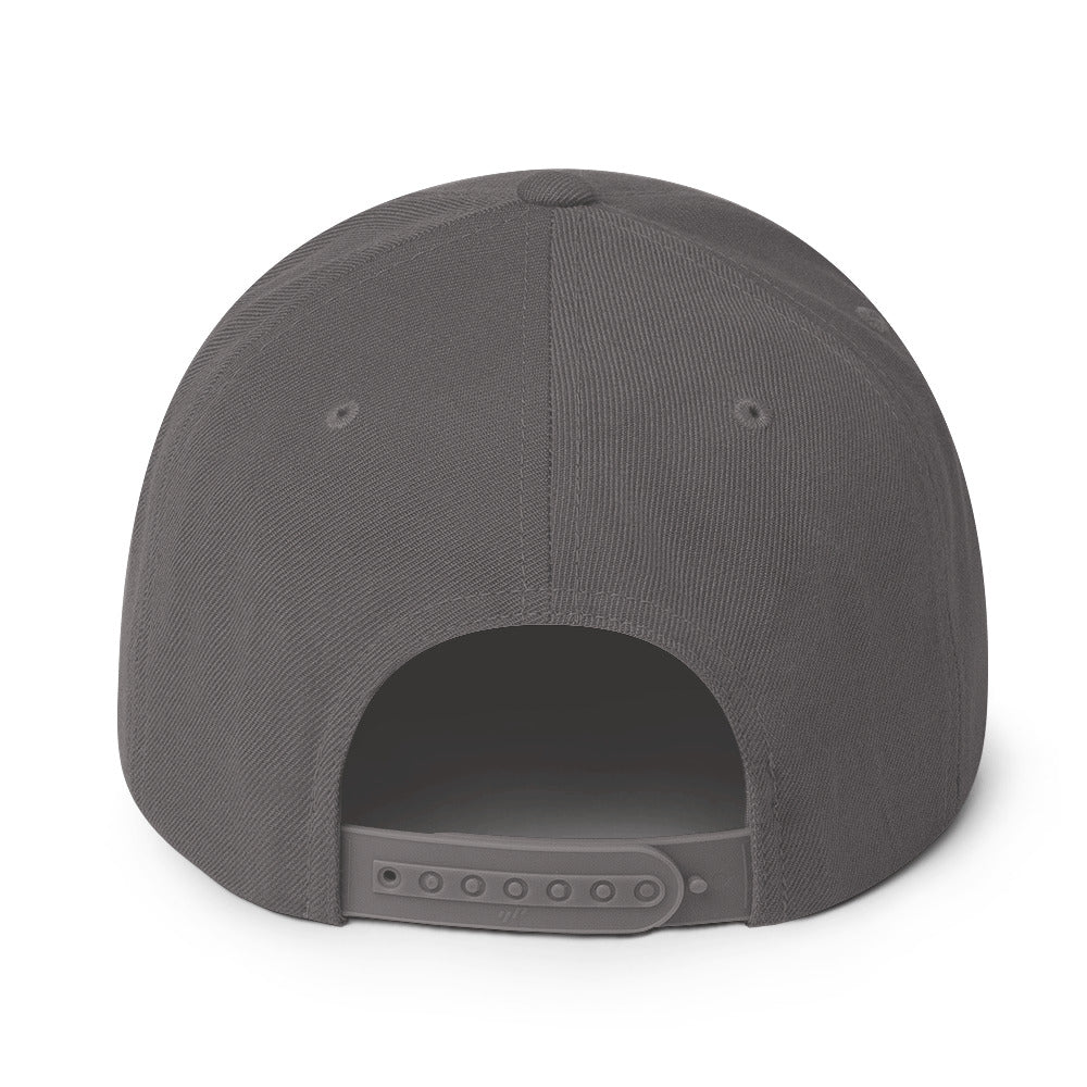 Wakeboard Snapback-Cap
