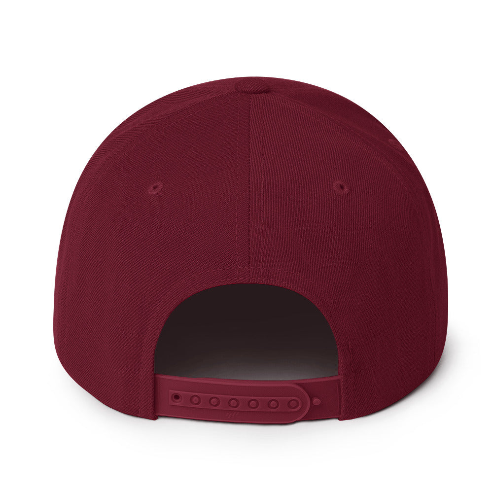 Wakeboard Snapback-Cap