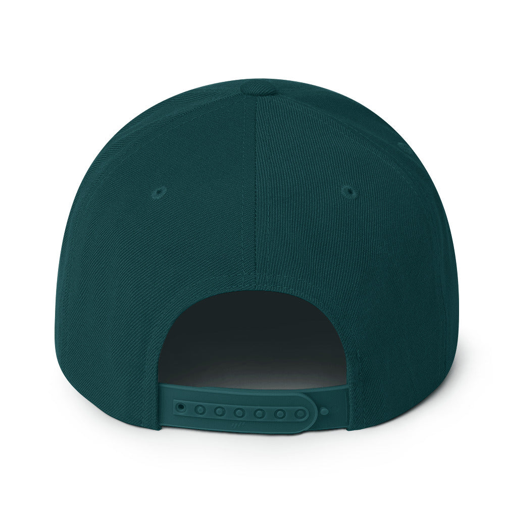 Wakeboard Snapback-Cap